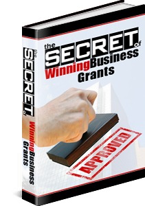 The Secret Of Winning Business Grants
