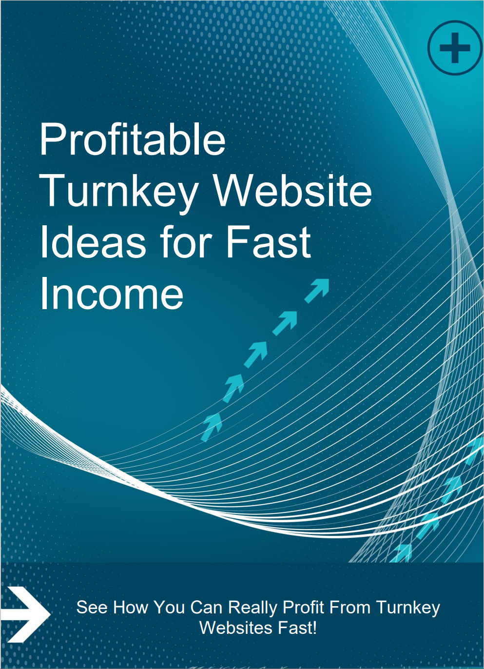 Profitable Turnkey Website Ideas for Fast Income