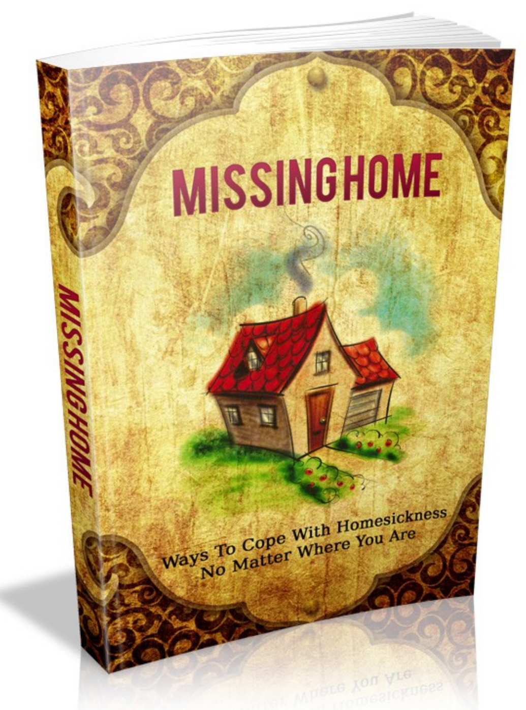 Missing Home Junky Books