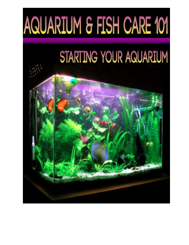 Aquarium Fish Care 101. Starting Your Aquarium