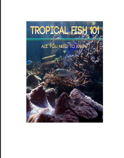 Tropical Fish 101. All You  Need To Know