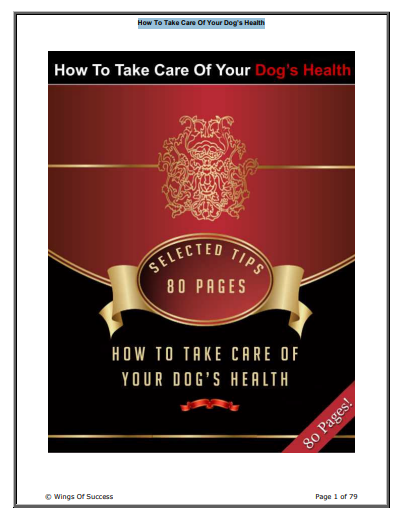 How To Take Care Of Your Dog’s Health!! Take Care Of Your Dogs Health With These Selected Tips