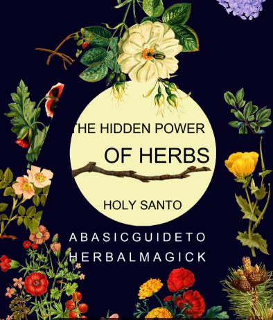 The  Hidden Power Of Herbs: A Basic Guide To Herbal Magick