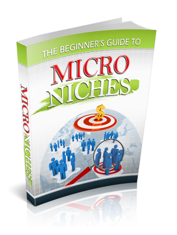The Beginner's Guide To Micro Niches