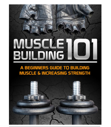 Muscle Building 101.. A Beginners Guide To Build Muscle And Increasing  Strength