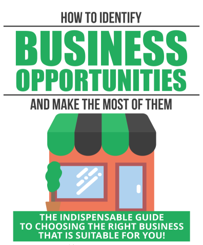 How To Identify Business Opportunities And Make The Most Of Them.