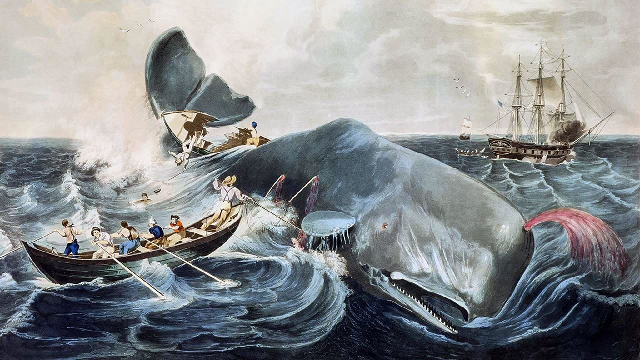 Herman Melville: The Enigma Behind Moby-Dick